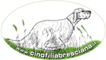 Logo Cinofiliabresciana